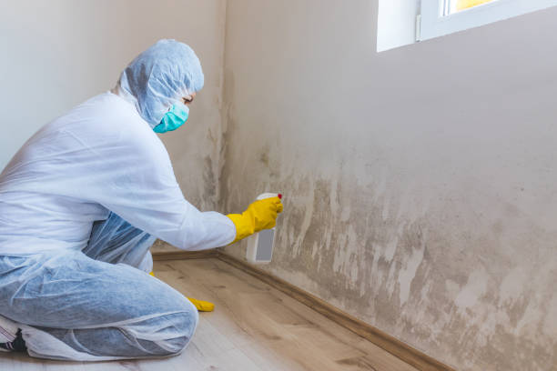 Licensed Commercial Mold Remediation service in Maplewood, MN - WQB Mold Removal