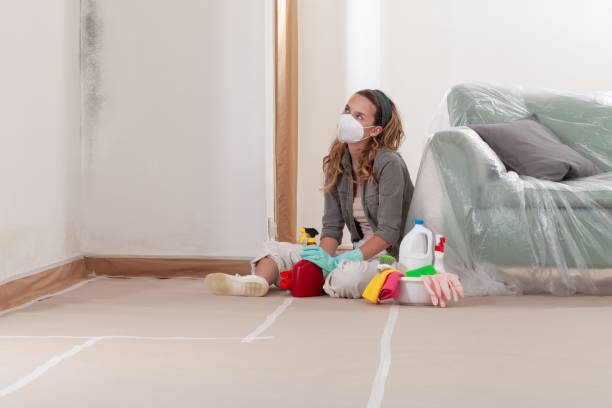 Reliable Commercial Mold Remediation contractor in Maplewood, MN by WQB Mold Removal